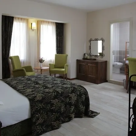 Guest house Mitos 2*
